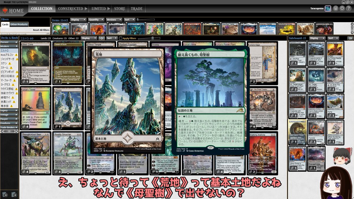 土地8枚セット　耐え抜くもの、母聖樹　ヤヴィマヤ　乾燥台地　新緑の地下墓地 土地8枚セット 耐え抜くもの、母聖樹 ヤヴィマヤ 乾燥台地 新緑の地下