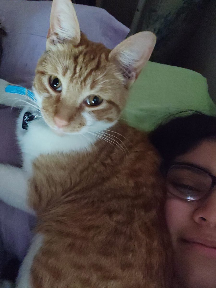 denisx_'s tweet photo. sobrepensando mucho, como suelo hacer, me di cuenta que te amo TANTO que el día que ya no estés conmigo, mi alma se va con vos. Y aunque todas las noches te lo digo, te prometo luchar para darte la vida que mereces y todo lo que necesitas. Te adoro como no podrías imagínate. https://t.co/Rl7VvPEpw1