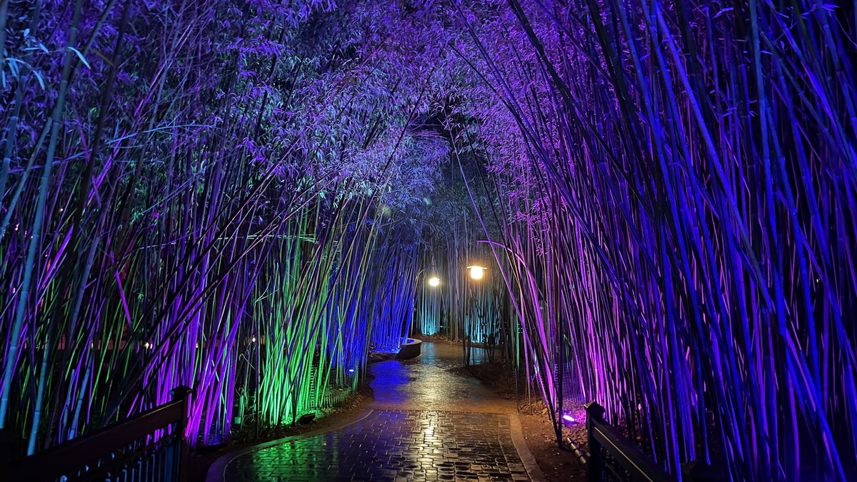 YarimCorreaPR's tweet photo. #Zoolumination at @NashvilleZoo @LisaSpencerWSMV @SpencerHoltWX @GregBobosWX @NWSNashville @DanielleBreezy @MelanieLaydenTV @wx_cruz @WeatherNation @DanThomasWSMV @katymorganwx @CycloforumsPR @JimCantore @stefanowx https://t.co/mxr9mqnXfh