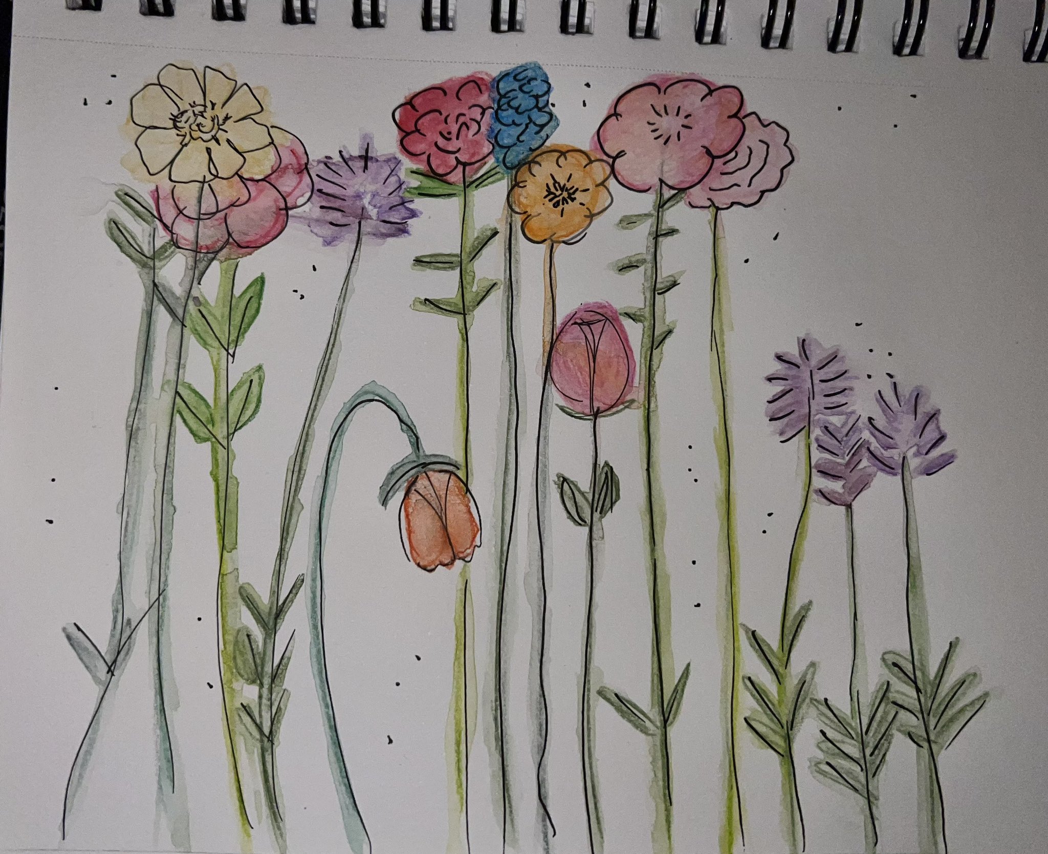 Girl Is Watering Garden Bed with Vegetables. | Art drawings for kids, Garden  drawing, Drawing for kids