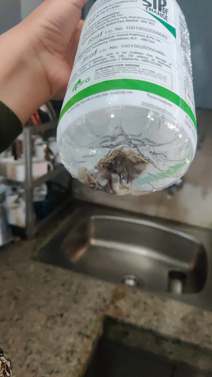 rishabhar0ra's tweet photo. @storiafoods, this came out of your bottle. A fungus laden tissue wasn't in the list of ingredients, the last I checked. 
How is this facility allowed to run? @fssaiindia https://t.co/GayJUPRMw4
