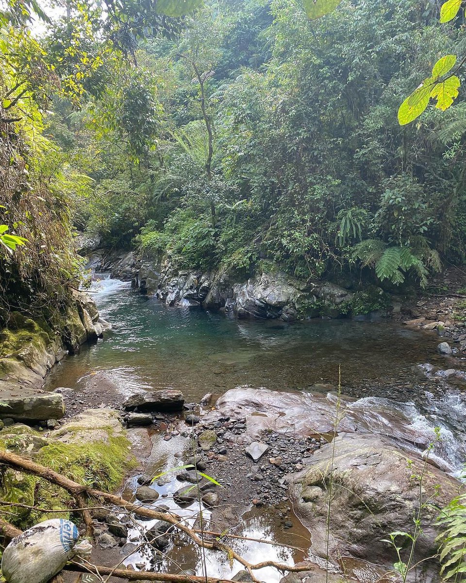 theasxz's tweet photo. ‘There’s no better place to find yourself than sitting by a waterfall and listening to its music.’ https://t.co/8PtzeuySRg