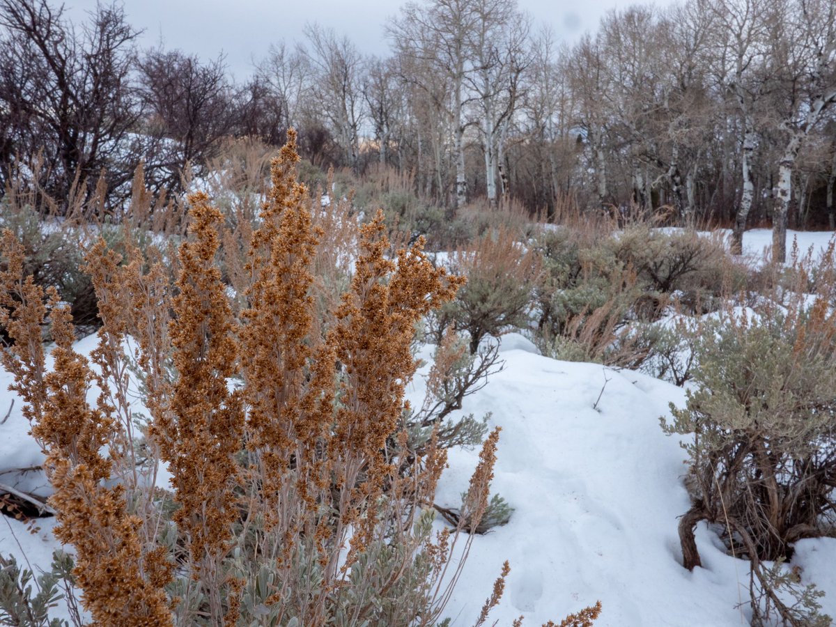 ruraldesigner's tweet photo. https://t.co/nMjaQkhWK9