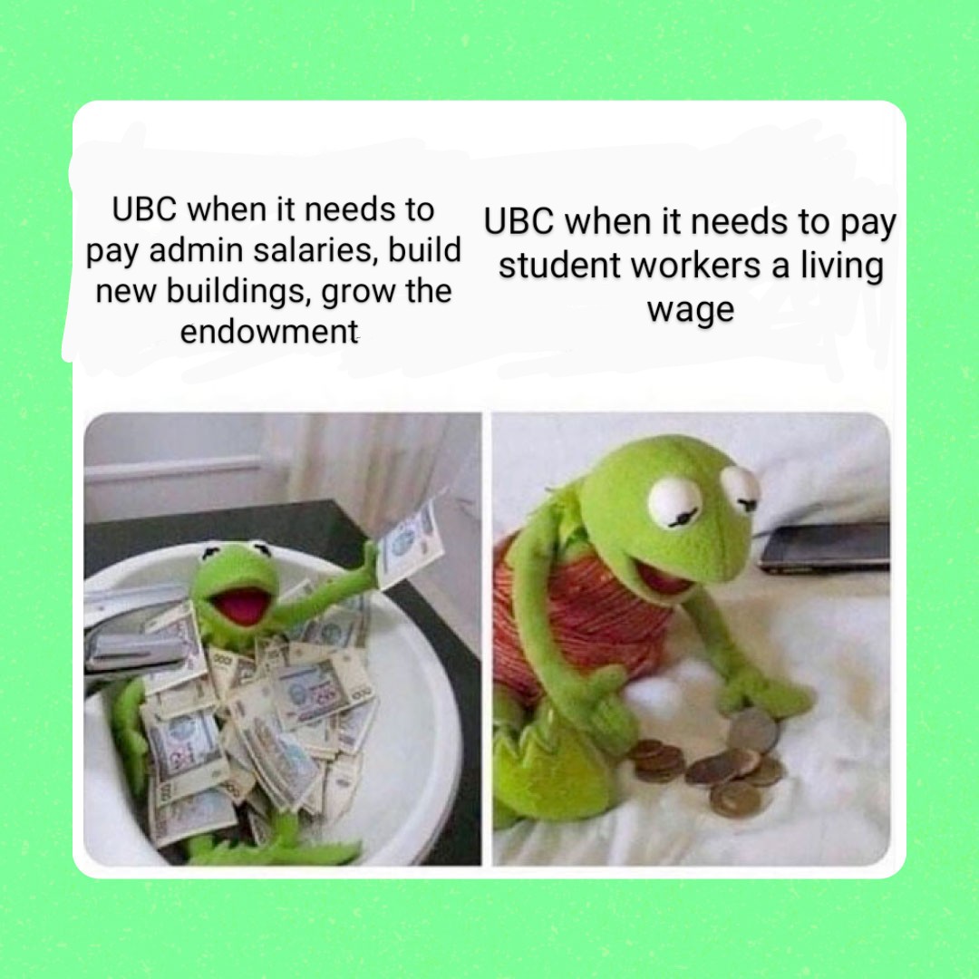 Jackson Schumacher tweet media