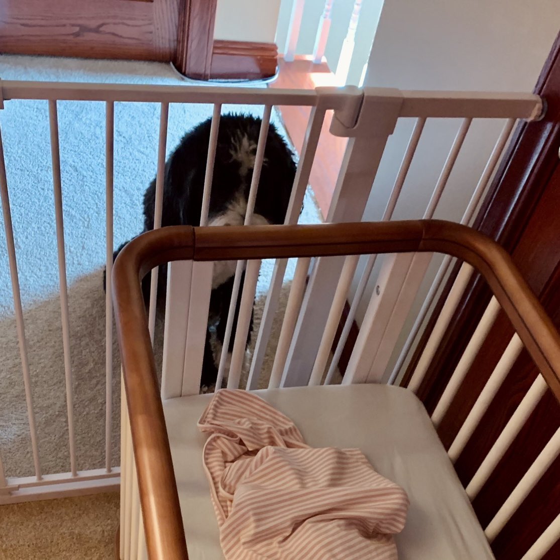 courtilly (itscourtilly) / Twitter