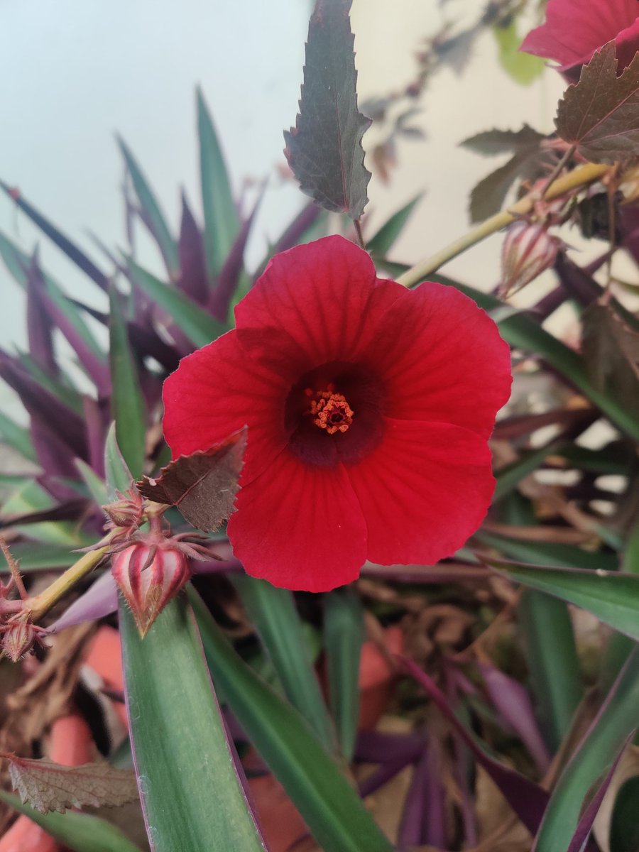 pujaawasthi's tweet photo. Morning find....
Find your own happiness, every single day...
.
.
.
.
#SundayMorning #sundaythoughts #EveryDayCounts #everydaynew #pujazdiary https://t.co/H8JEfuKxrV