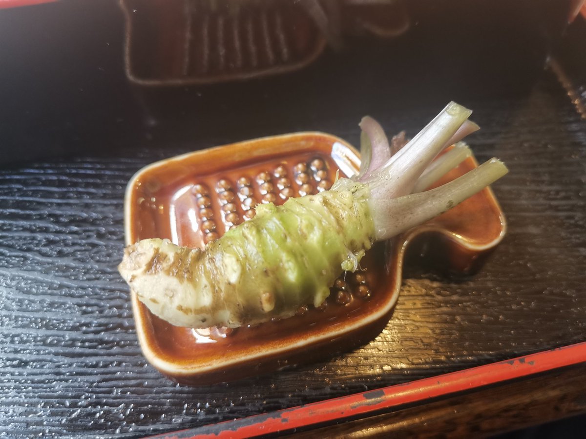 yamasan15588510's tweet photo. 静岡県小山町「滝口わさび園」併設のそば店の、本付きざるとろろそば。一本付いてくる本わさびを自分ですりおろしてそばに絡めつゆにつけ食べるとわさびの香りが広がって激ウマ。すりたてなので辛味は控えめなので、たっぷり混ぜても問題無し。太めのそばとの相性も◎です。 https://t.co/9d06mMCzzp