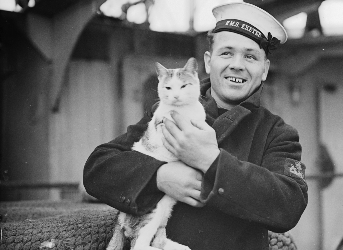 Cats have been serving on ships for as long as humans have been going to sea. Ancient Egyptian tomb paintings depict cats being used on boats to hunt birds along the Nile. Over the millenniums, cats became valued by sailors for pest control, companionship and good luck. #Caturday