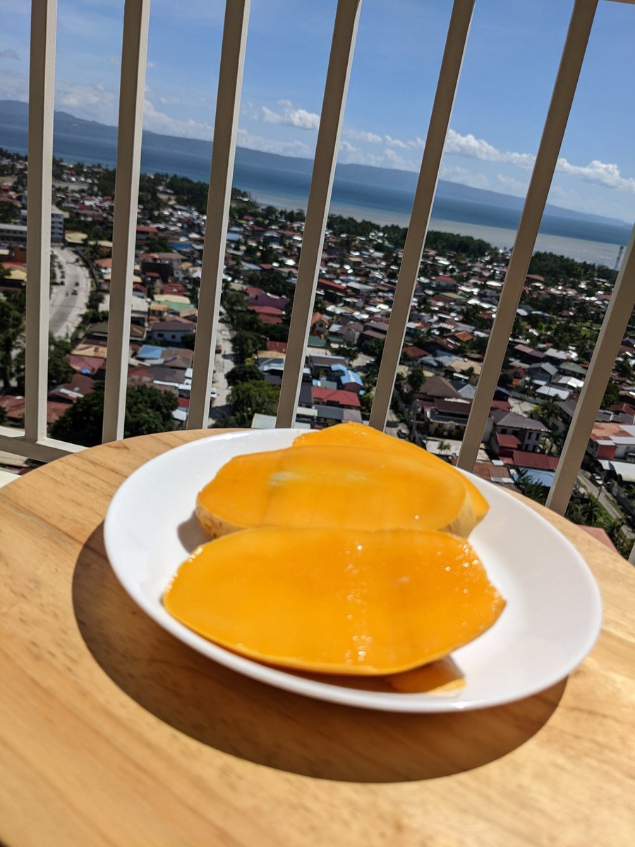mabuhayhappily's tweet photo. 果物のある暮らし🥭
ダバオはフィリピンの中でも豊富なフルーツが採れることで有名
今日は灼熱の太陽のもとよく冷えたマンゴーを頂きます😋
#Philippines #Davao #fluits #mango https://t.co/p8dEiWF7kY