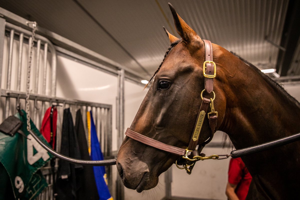 elliottracing99's tweet photo. Happy Retirement Bulldog Hanover!
Thank you for all the memories #fastestever
๐ธ John Watkins https://t.co/OLa7kYR9wK