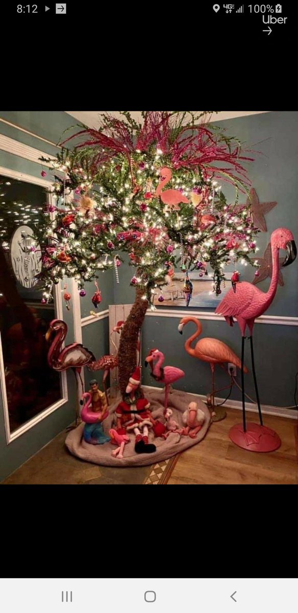 David Taggart-PDMacro.com tweet media