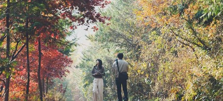 agvsfilm's tweet photo. "I fell in love with you in the early summer of that year, and that year hasn't ended yet."

Our Beloved Summer (2021) https://t.co/GVklNGtjGV