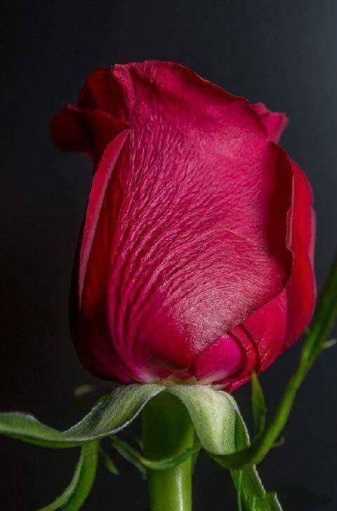 احسان (@1ehsan33) on Twitter photo 