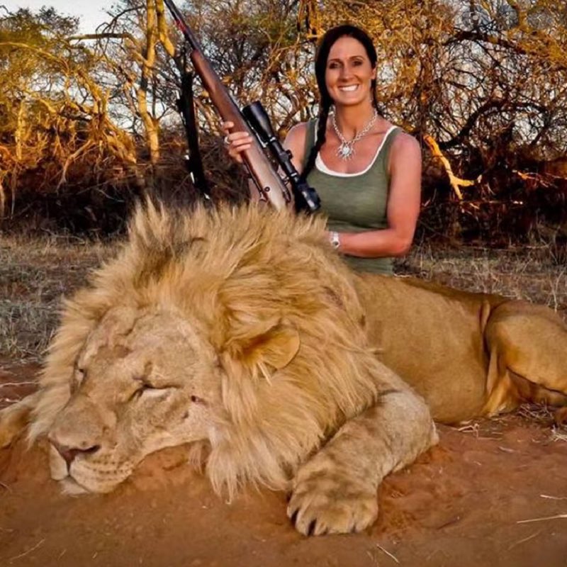 AlmuthSiegl's tweet photo. Please retweet if you think there should be a worldwide ban on trophy hunting ! ๐ก #TiredEarth #SDGs #TrophyHunting
@Janefonda @LeoDiCaprio @MonaPatelT @AaravSeth_ @ImandiU @TonyHussein4
@_Pehicc @awkward_1110 https://t.co/zF7dK7kKtX