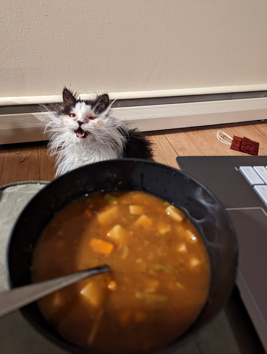 MOTHER ,,,, THE SOUP