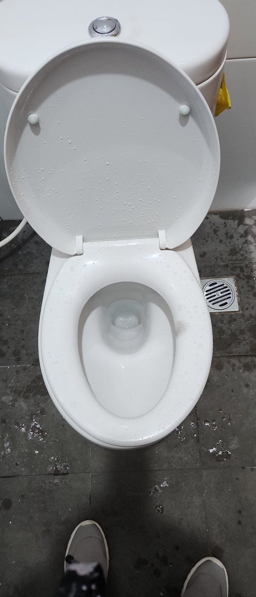 Heran gw ama orang yg abis make ini toilet, abis keramas jembut apa gmn ya😑