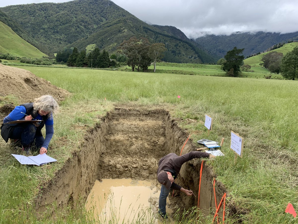 Off the office and into the unknown, digging and judging the soils #SOIL2022
