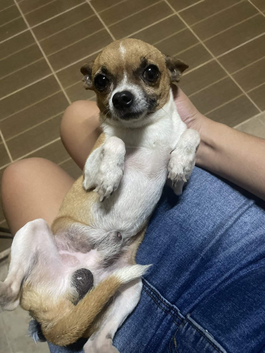 🌞✨Sunflower🌻🦋 tweet media