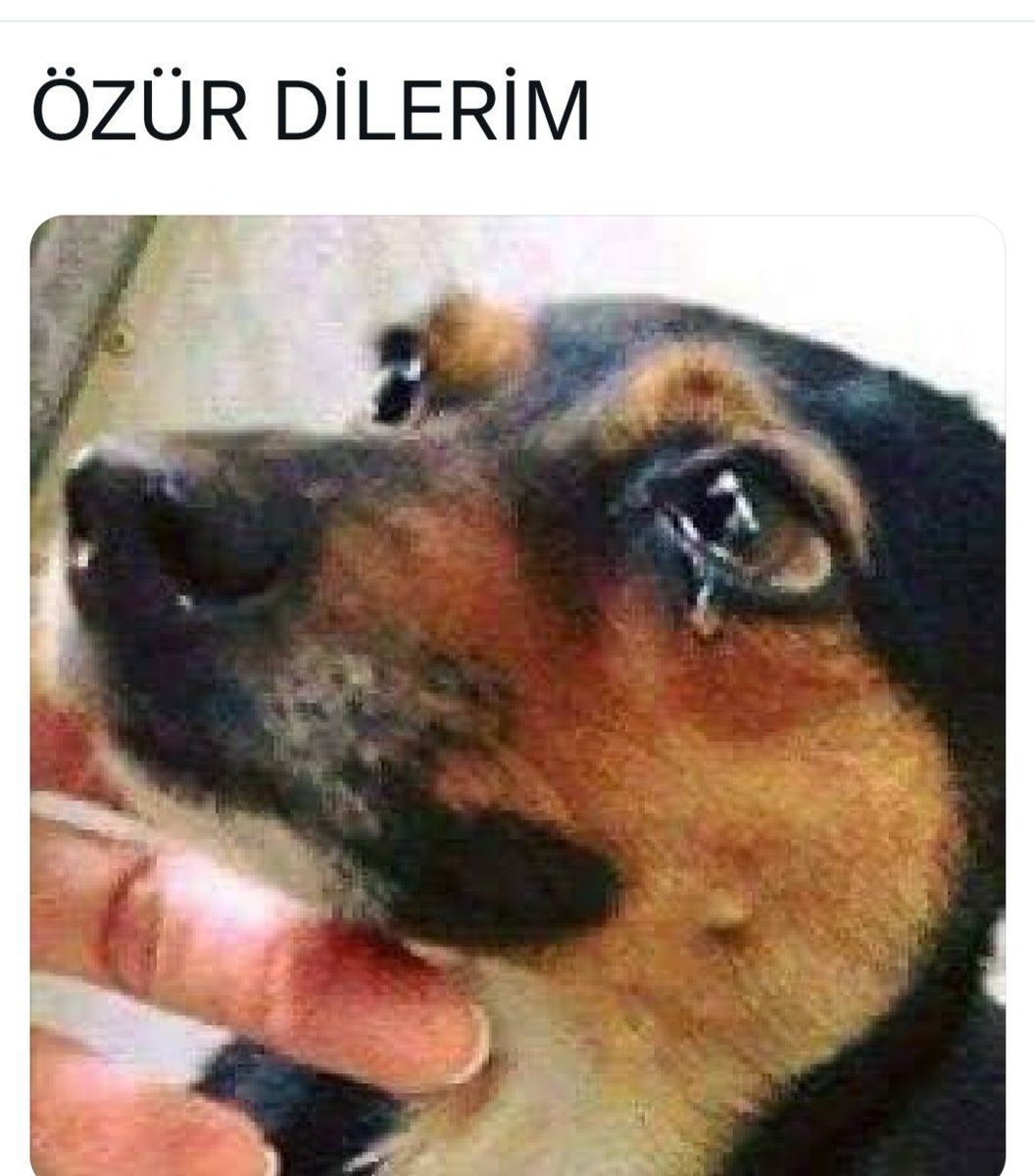 Hayvan sever ve bir insan olarak!