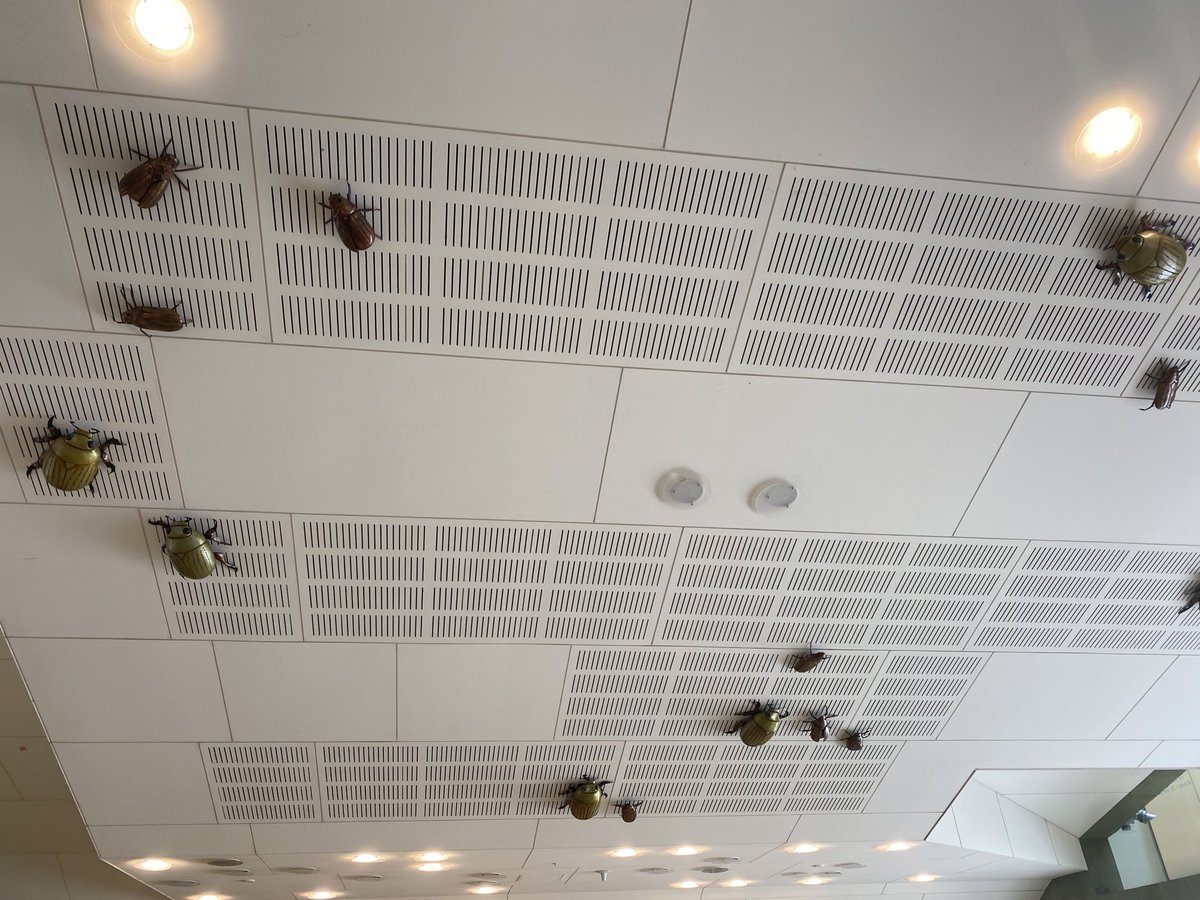 Vicki McDonald tweet media