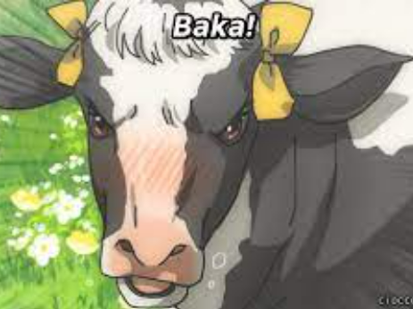 st0rmi0's tweet photo. That cow failed no nut november L COW #youloseyoutweet https://t.co/cOSpzcszke