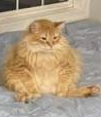 it do be like that sometimes