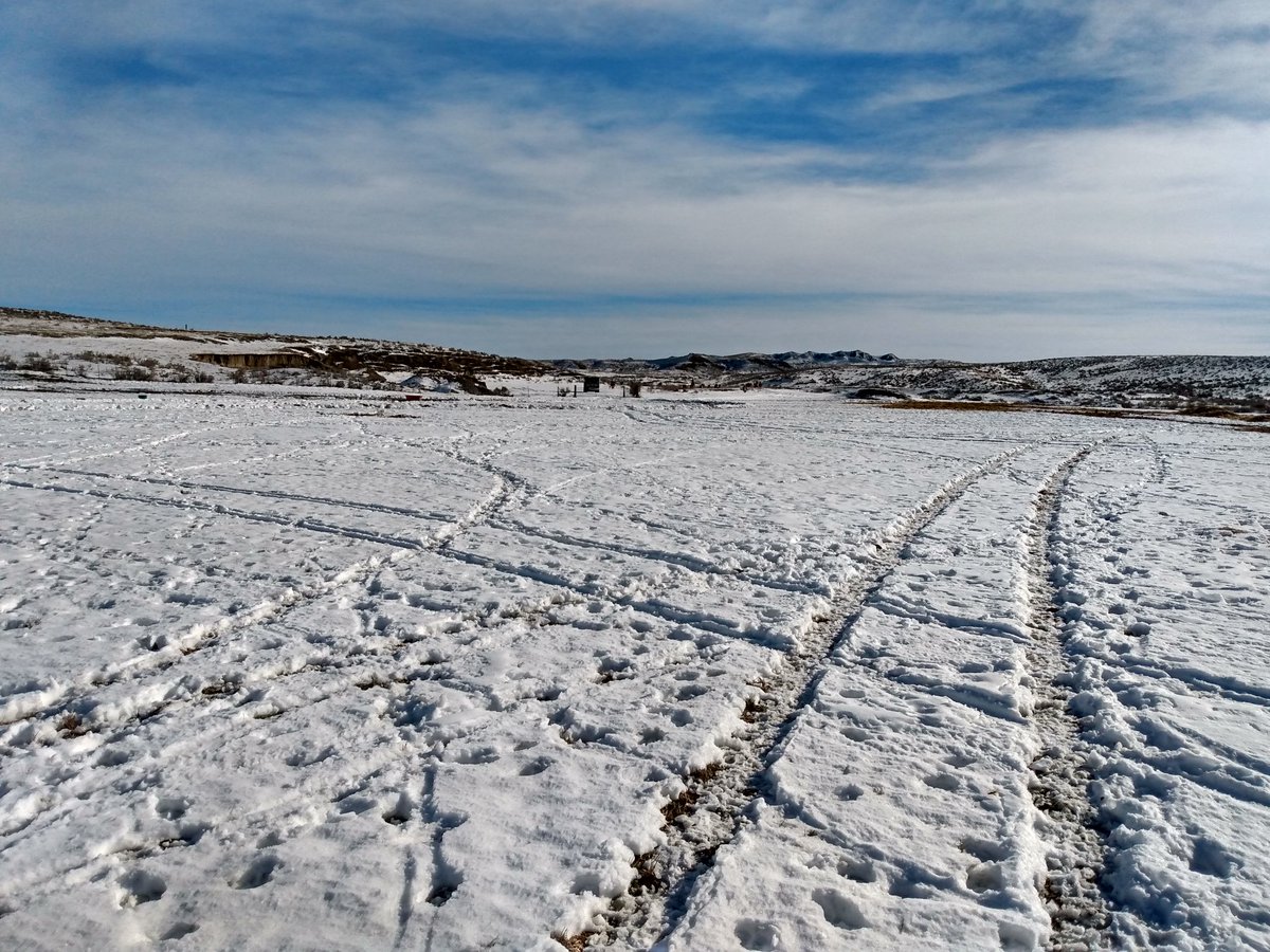 ReneeKaiser20's tweet image. It was such a beautiful day, had a work date! Got to ride 🐴🥰💕
#FarmerWife #FarmLife #WorkDate #TakeWifeToWorkDay