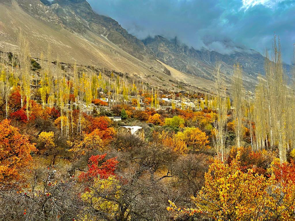 Umbreen Arif tweet media
