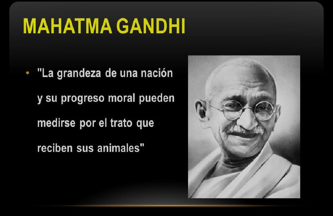 Hugo Andrés Vázquez (@huguenn) on Twitter photo 