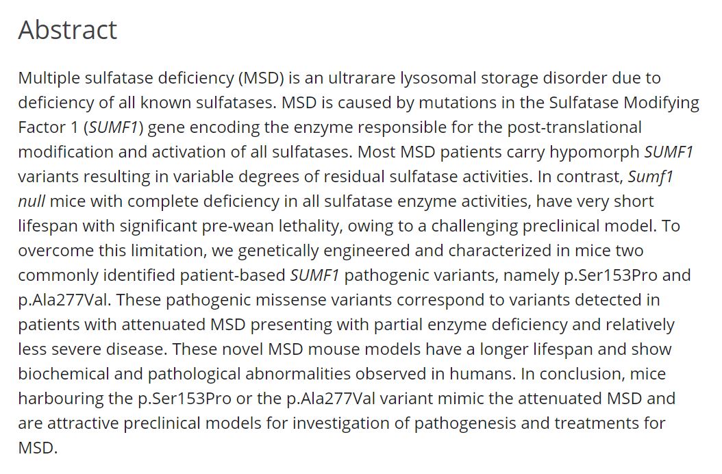 JIMD_Editors's tweet photo. Our 'something new' was accepted just yesterday:
New mouse models with hypomorphic SUMF1 variants mimic attenuated forms of Multiple Sulfatase Deficiency
Nicolina Cristina Sorrentino, et al
https://t.co/yh3JDJPumA
#MSD #MultipleSulfataseDeficiency #SUMF1 https://t.co/f9X9dsMlgf