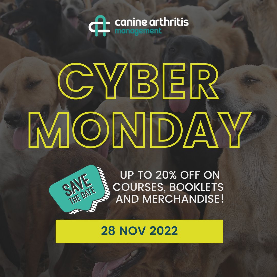 Back by popular demand! CAM would be having another sale on Cyber Monday! We’ll be posting our discount code on the 28th AM. Save the date!