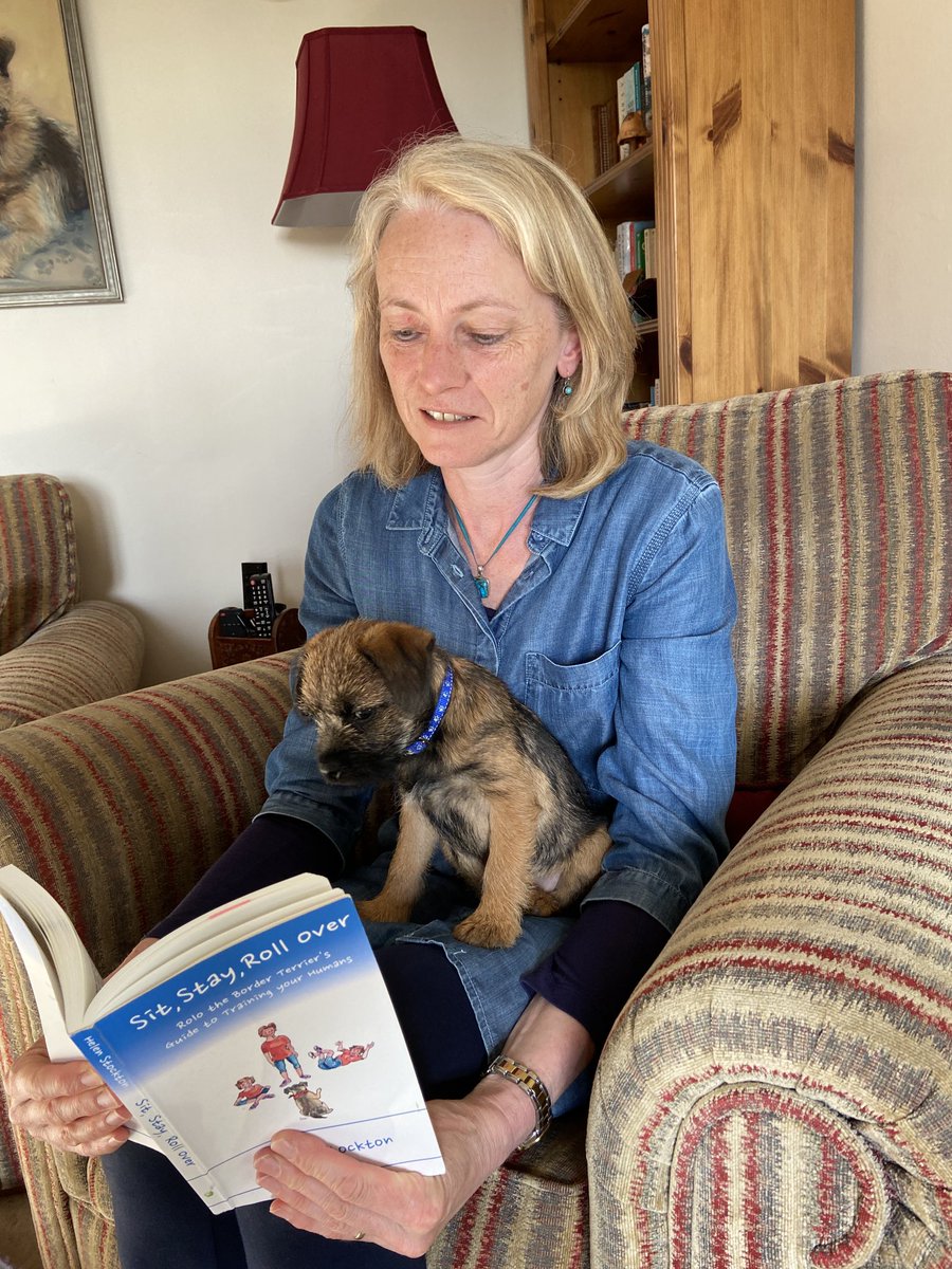 stocktonwriting's tweet photo. If you follow my dog @BearStockton you’ll know she read this book a bit too closely! #monkeymoo - my favourite - a spoof dog training manual written from the dog’s point of view. Both books for £10 with free pack of 4 Christmas cards this weekend. https://t.co/SFHlrASDyB https://t.co/pH55SCyiaS
