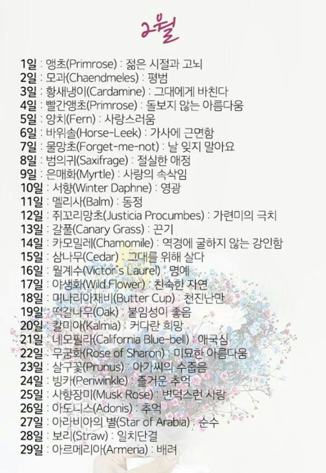 shan_1188's tweet photo. 언제 주웟는지 모르겠는데
갤러리에 잇길래 공익을 위해 올림 탄생화 탄생석 의미 타래로 https://t.co/oQKHOrl0GS
