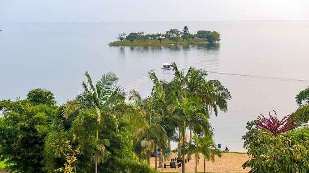 Remy Niyingize (@niyingizeremy) on Twitter photo Just one of the fascinating destinations to stun you in <a href="/RutsiroDistrict/">Rutsiro District</a> , <a href="/RwandaWest/">Western Province I Rwanda</a> !
Join <a href="/rushelkivu/">Rushel Kivu Resort</a> for scenic memories.
#VisitRutsiro #VisitRwanda Just one of the fascinating destinations to stun you in <a href="/RutsiroDistrict/">Rutsiro District</a> , <a href="/RwandaWest/">Western Province I Rwanda</a> !
Join <a href="/rushelkivu/">Rushel Kivu Resort</a> for scenic memories.
#VisitRutsiro #VisitRwanda