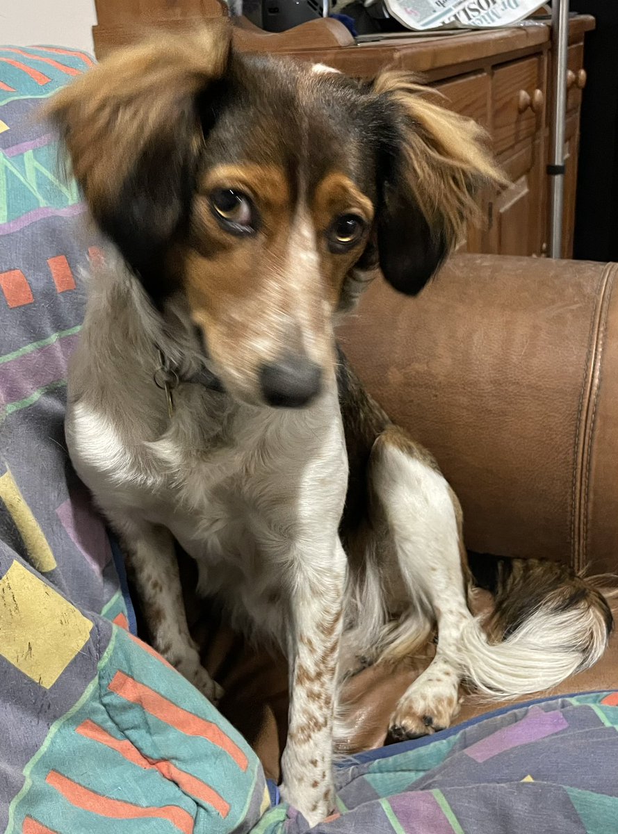 RubyRubes tweet media