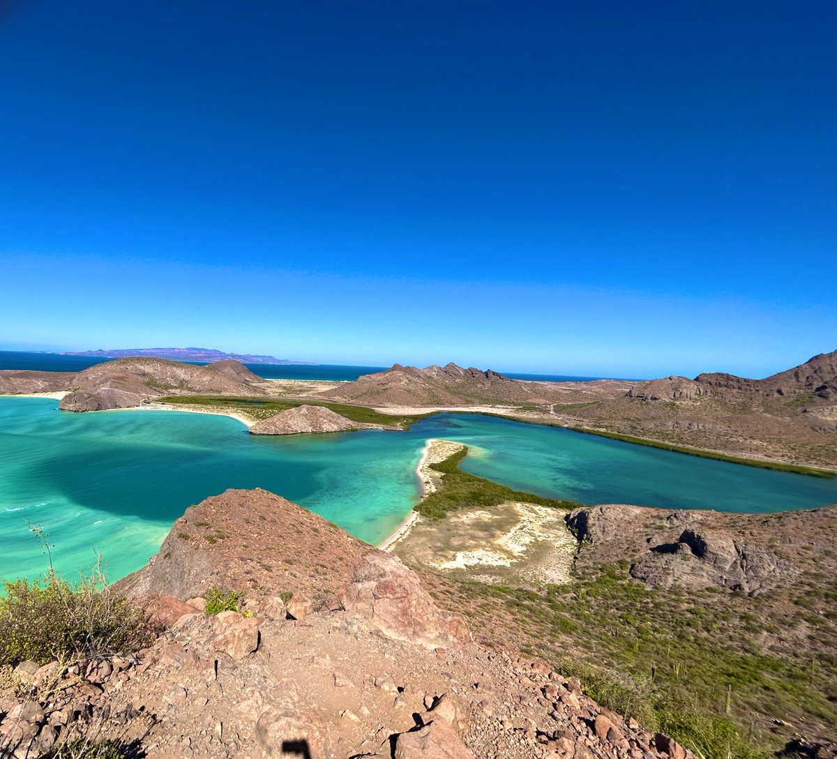 MeaganWristen's tweet photo. La Paz is so beautiful. #lapaz #mexico @PureLaPaz #livelapaz https://t.co/YImUd2gycG