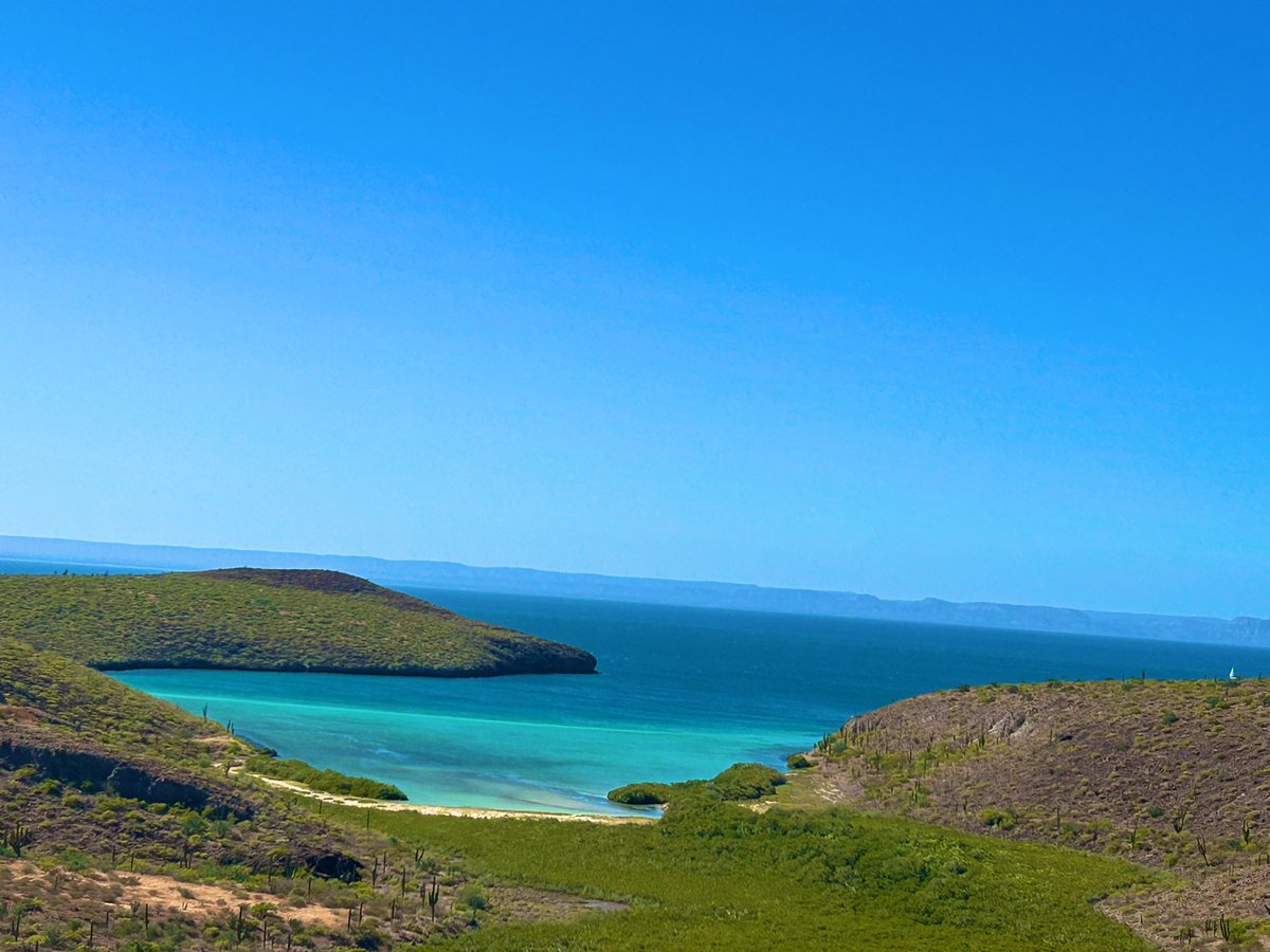 MeaganWristen's tweet photo. La Paz is so beautiful. #lapaz #mexico @PureLaPaz #livelapaz https://t.co/YImUd2gycG