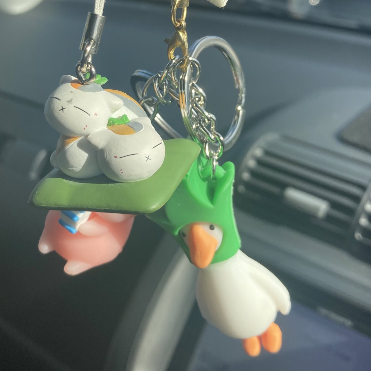 まさかの2匹だった…
1号どっか行っちゃった時かしら？？