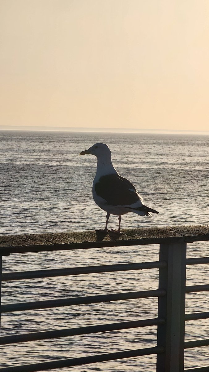 Trisson2's tweet image. Birthday today... It's the last pass around the sun in my 30s