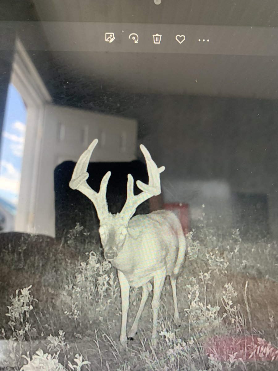 Jason wipf tweet media