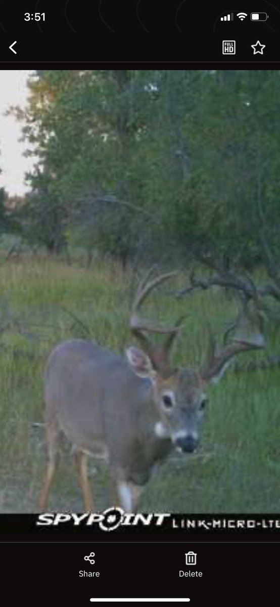 Jason wipf tweet media