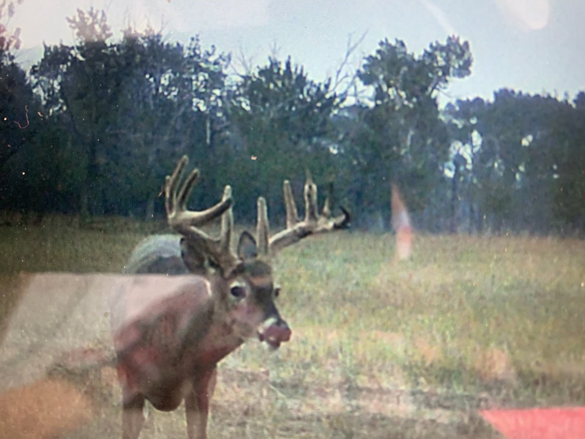 Jason wipf tweet media