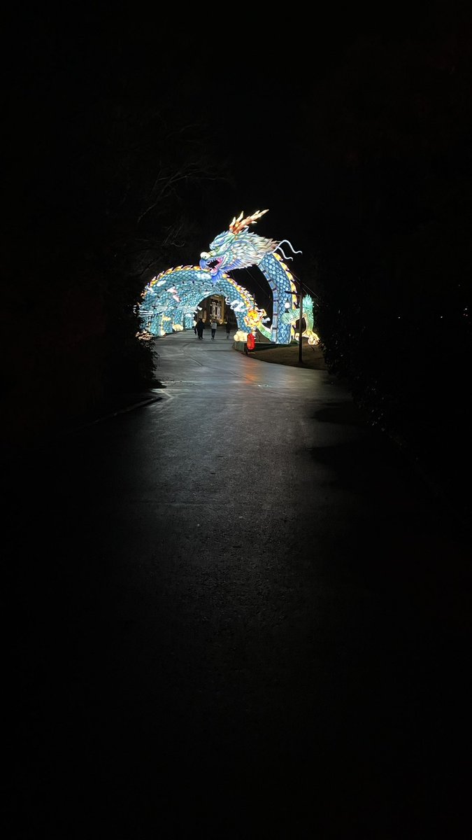 YarimCorreaPR's tweet photo. #zoolumination #zooluminationatthenashvillezoo #nashvillezoo #nashvillezooatgrassmere #nashville #tennessee @NashvilleZoo https://t.co/VvvJ0Iriru