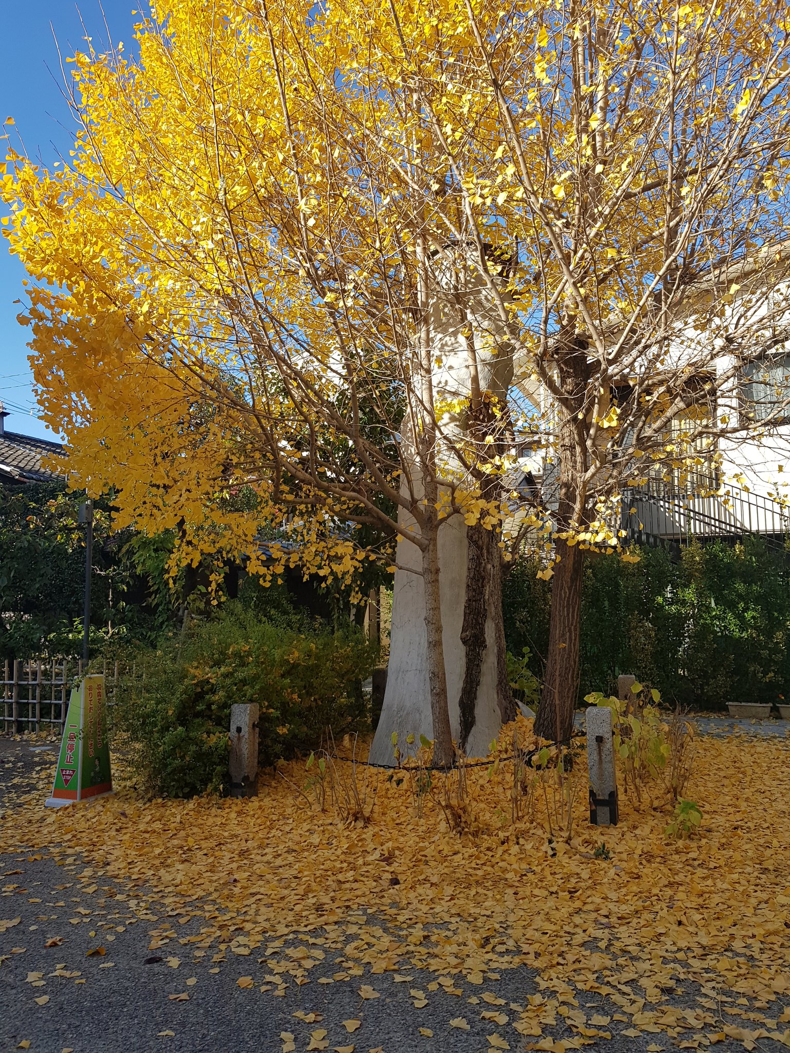 今日も健康ハッピーに Twitter Search Twitter