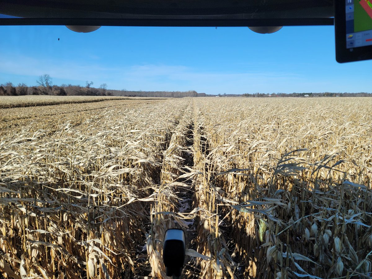 Warren Schneckenburger 🇨🇦 tweet media