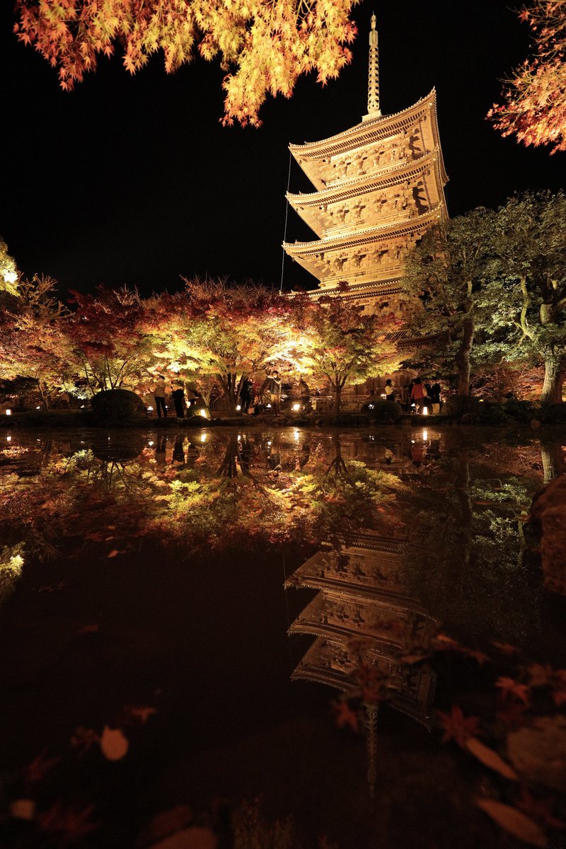 juni7952's tweet photo. 2022.11.24
京都 東寺　紅葉　ライトアップ
リフレクションしか撮らない　

Canon EOS R
EF16-35mm F2.8L Ⅲ USM
#京都 #東寺 #紅葉 #ライトアップ 
#EOSR #my_eos_photo #photo_short_tripp #tokyocameraclub 
#kyoto #toji #autumncolors #reflection #東京カメラ部 #キリトリセカイ https://t.co/B7oquuzpfY