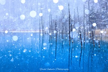 冬天來了 北海道青池變銀色夢幻世界 Dcfever Com