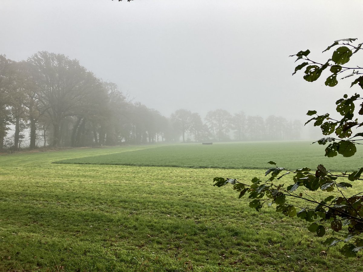 WaandersR's tweet photo. Gisteren (deel 2 van) etappe 1 van het prachtige #Twentepad gewandeld met @GastEllen #tubbergen #mist https://t.co/mAI8WB8fI4