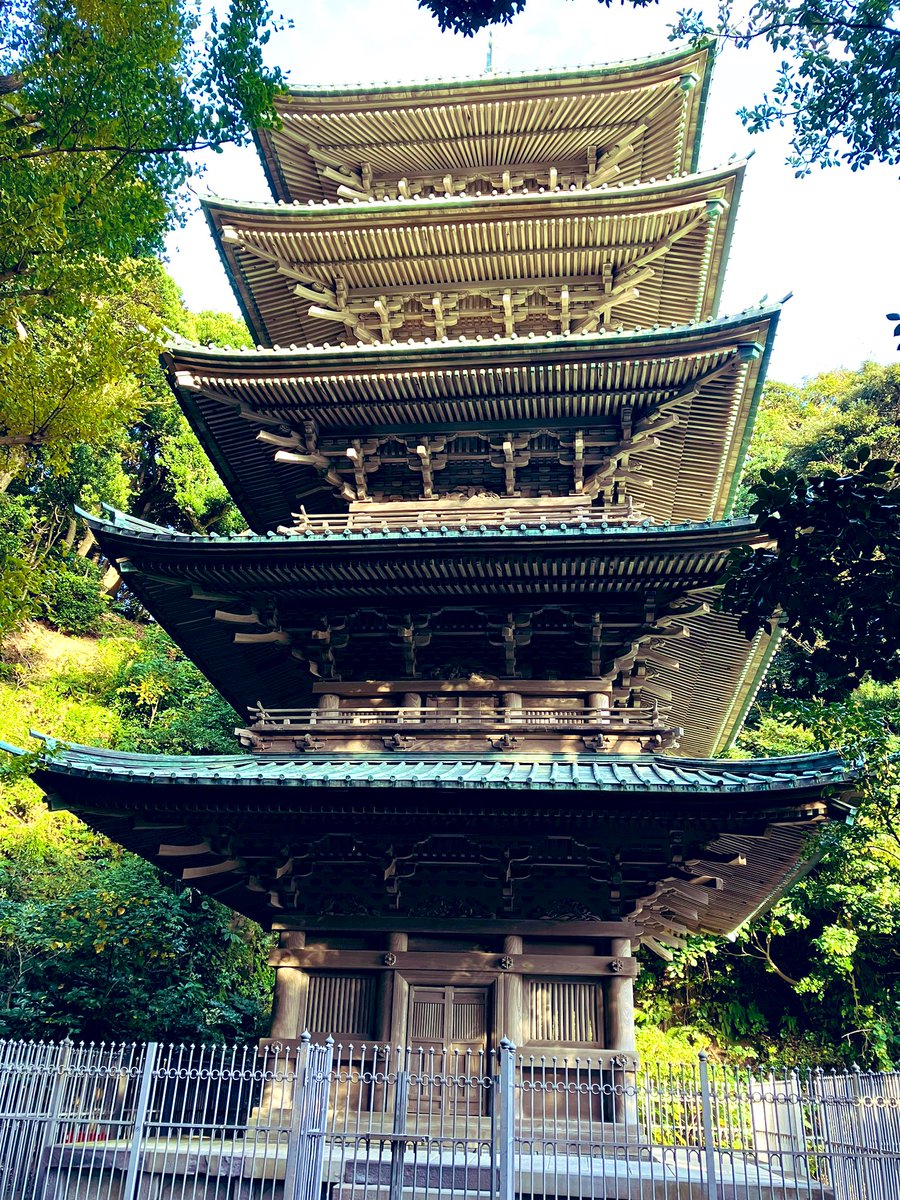 softhand61's tweet photo. 近所の公園から尾根道を辿って、龍口寺経由、片瀬江ノ島東浜までウォーキング。所々の銀杏の葉が、黄色く色付いて見頃 #katase https://t.co/Rq8rOvOTpi