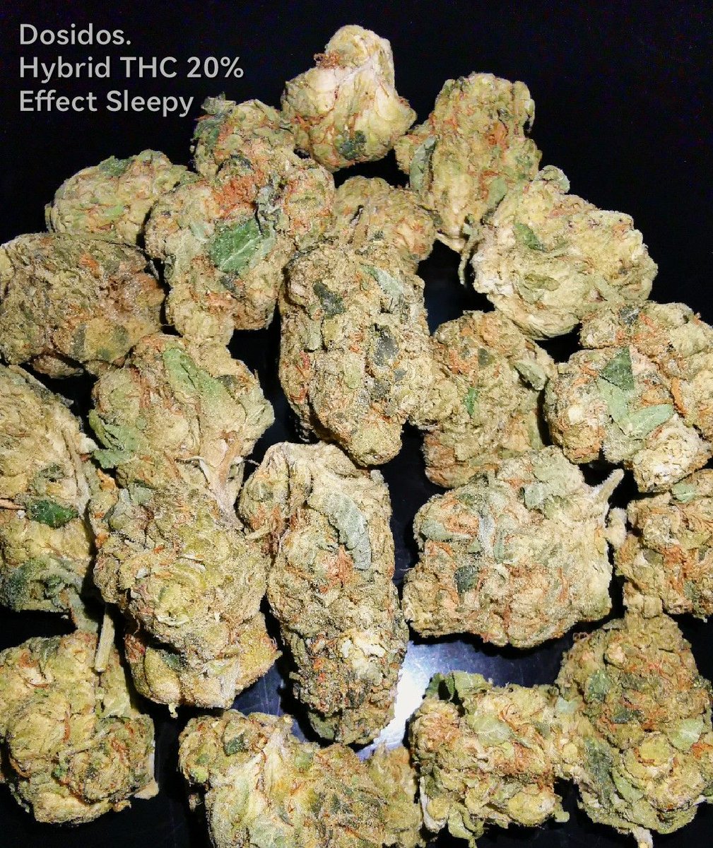 Getkit1's tweet image. OG​ งานดี​ ราคามิตรภาพ​  👍
Exotic-Top.​ Import.​
==============
390/G
360/10G
== รับประกันความเมาทุกตัว​ ==
= ราคาขีด​​ สอบถาม​ =
ติดต่อ​ Line : @597mponl
#กัญชา #ขายกัญชา #กัญชาเชียงใหม่ #กัญชาออแกนิค #กัญชากรุงเทพ #กัญชาโอจี​ #กัญชาog #กัญชาเสรี​ #marijuana #กัญชาอัดแท่ง